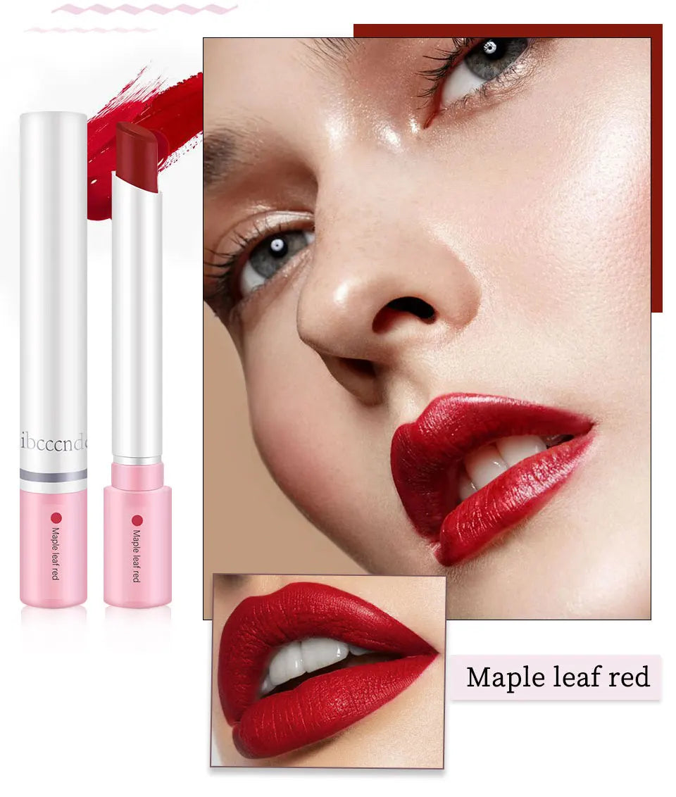 4-Lasting Stick Waterproof Matte Lipstick Set – BeautyByOla