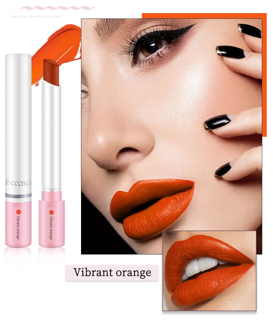 4-Lasting Stick Waterproof Matte Lipstick Set – BeautyByOla